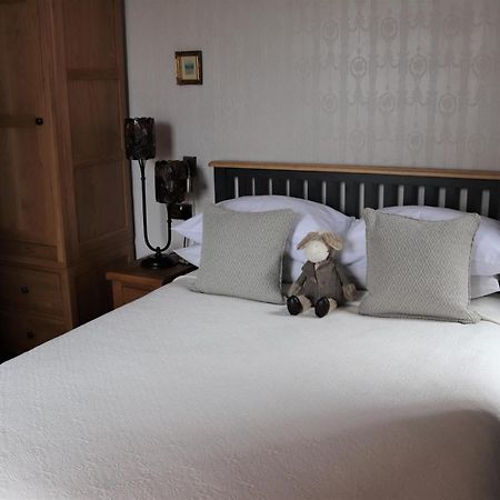 Greylands Guest House Llandrindod Wells Zewnętrze zdjęcie